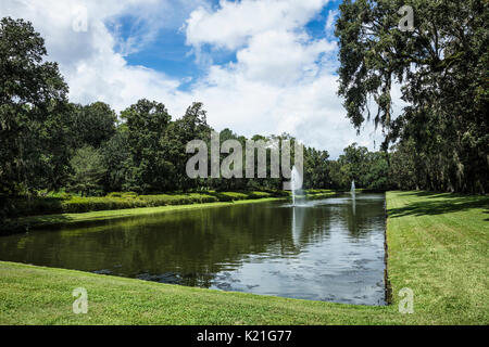 A view of the gardens at Middleton Place plantation in Charleston, South Carolina, USA. They were created in 1741; the oldest landscaped gardens in th Stock Photo