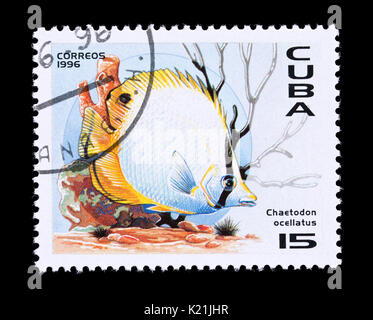 Postage stamp from Cuba depicting a spotfin butterflyfish (Chaetodon ocellatus) Stock Photo
