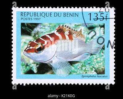 Postage stamp from Benin depicting a  blacktip grouper (Epinephelus fasciatus) Stock Photo