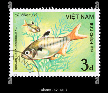 Postage stamp from Vietnam depicting serpae tetra (Hyphessobrycon serpae) Stock Photo