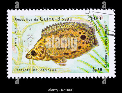 Postage stamp from Guinea-Bissau depicting a leopard bushfish (Ctenopoma acutirostre) Stock Photo