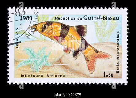 Postage stamp from Guinea-Bissau depicting a clown loach (Botia macracanthus) Stock Photo