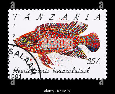 Postage stamp from Tanzania depicting a jewel cichlid  (Hemichromis bimaculatus) Stock Photo