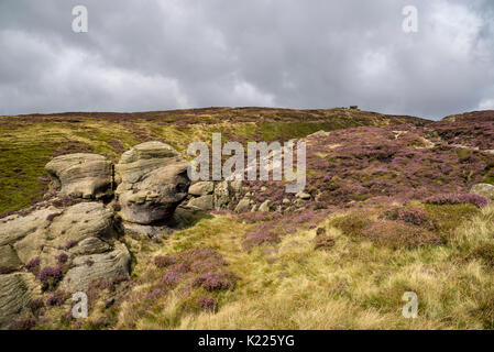 Rugged scenery on Kinder Scout in summer. Edale, Peak District, Derbyshire, England. Stock Photo