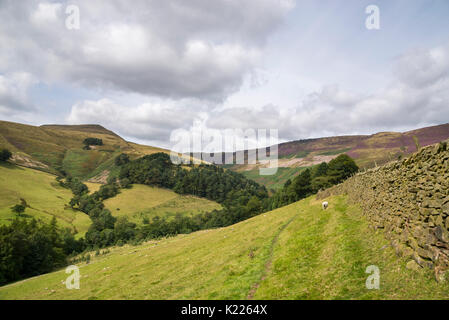 Grindslow Knoll near Edale in the Peak District national park, Derbyshire, England. Stock Photo