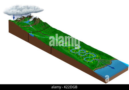 Rainwater seeps into ground then rises to surface in form a spring flowing down hills mountains. As it fed by more springs meltwater from glaciers,it becomes a mountain stream,then a young river. It continues flowing down mountain,following steep slopes forming waterfalls. river carves out deep gorges,then broadens. Fed by tributaries,it becomes a large river. As it grows wider,river forms meanders. Stock Photo