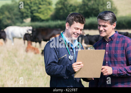 Farmer And Vet In Field With Cattle Looking At Clipboard Stock Photo