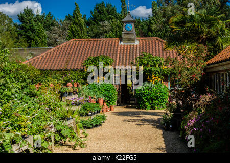 East Ruston Old Vicarage Gardens, East Ruston, Norfolk, UK Stock Photo