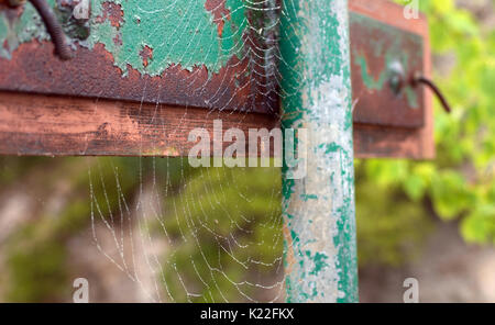 Spiderwebs built on the back of an old weathered sign Stock Photo