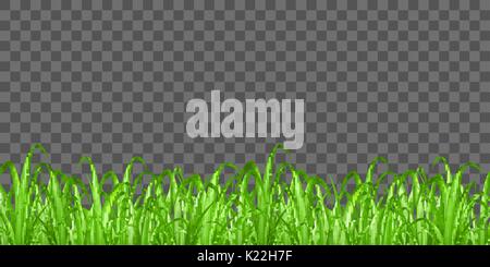 real green grass on transparent background vector Stock Vector