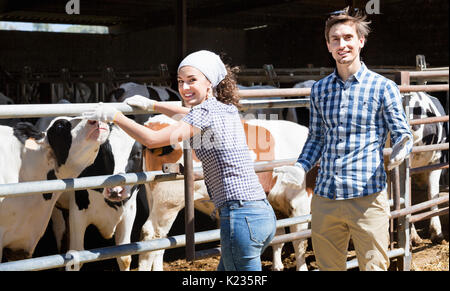 Two persons clapping cows in hangar and smiling Stock Photo - Alamy