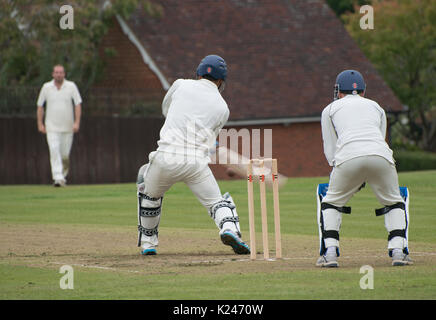 Cricket, wicket keeper in action Stock Photo - Alamy