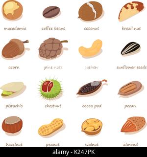 Nuts and seeds icons set, isometric style Stock Vector