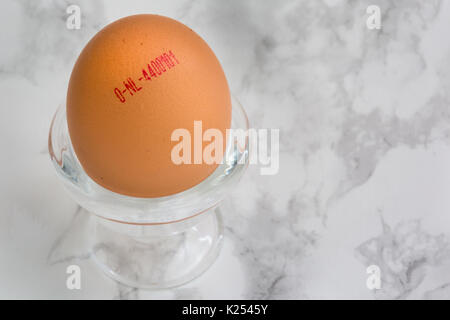 One brown Dutch egg clearly showing the egg code in a glass egg-cup against a marble background Stock Photo