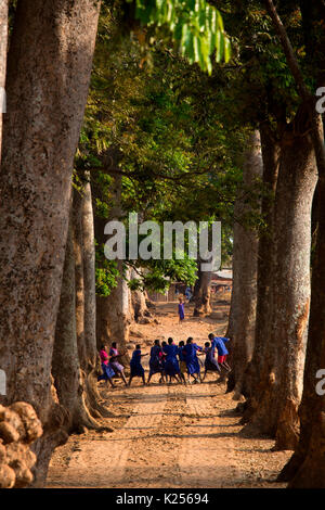 Africa,Malawi,Lilongwe district. Foreshortening of a Malawian village Stock Photo