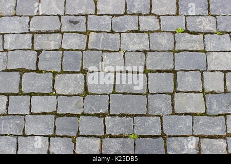historical cobblestone pavement with green grass on the Anchor Square in the city of Kronstadt, Russia. Stock Photo