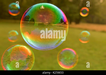 Colorful soap bubbles floating through the air Stock Photo - Alamy