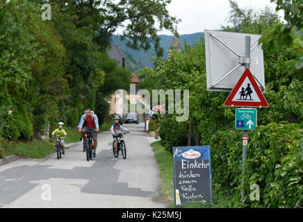 Cyclists ride in the Wachau Valley, Austria on the Danube Bike Path or Donauradweg. Stock Photo