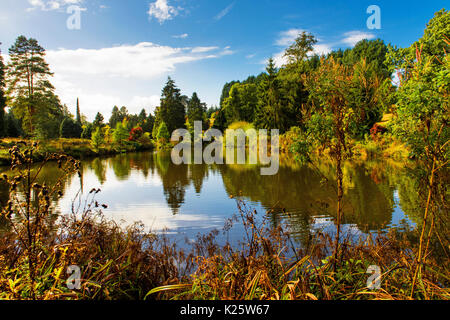 Wonderful autumn colours in a Bedgebury park near Tunbridge Wells in Kent, England Stock Photo