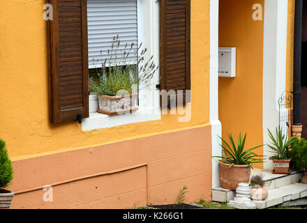 potted plants on window sill and door step of bold gold painted European house Stock Photo