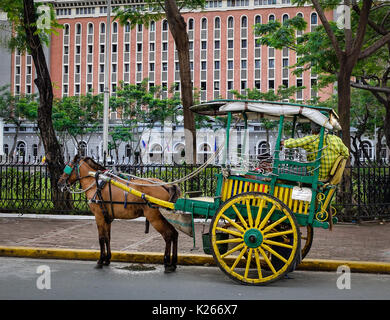 Philippines, Manila, Calesa (Horse-drawn Carriage) & Colonial Stock
