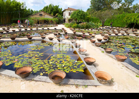 The water gardens of Latour Marliac, le Temple sur Lot, Lot et Garonne, Aquitaine, France Stock Photo