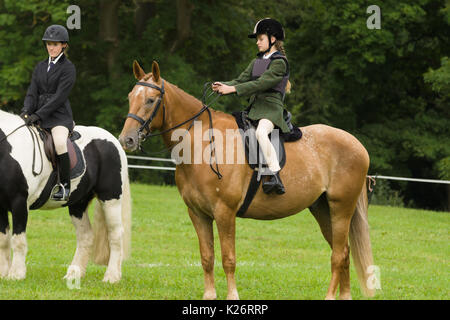 Horses and riders competing at the annual Ceiriog Valley Sheep Dog Trials in Glyn Ceiriog North Wales Stock Photo