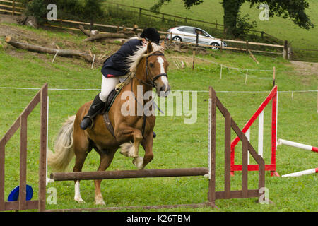 Horses and riders competing at the annual Ceiriog Valley Sheep Dog Trials in Glyn Ceiriog North Wales Stock Photo