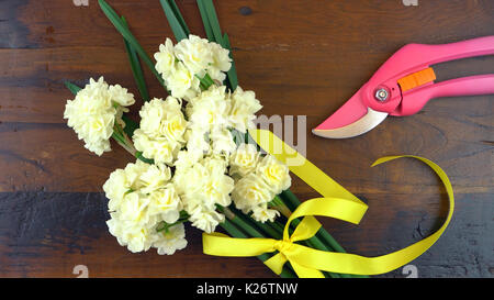 Spring ovehead with Springtime Erlicheer jonquil daffodils on a rustic wood table background. Stock Photo