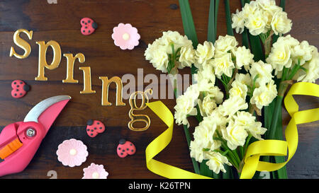 Spring ovehead with Springtime Erlicheer jonquil daffodils on a rustic wood table background. Stock Photo