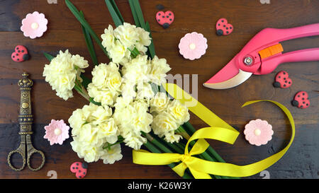 Spring ovehead with Springtime Erlicheer jonquil daffodils on a rustic wood table background. Stock Photo