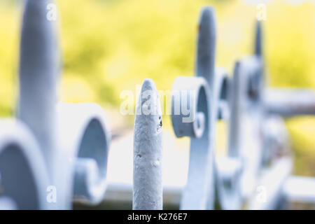 details of structure and ornaments of wrought iron fence and gate with soft focus in the distance Stock Photo