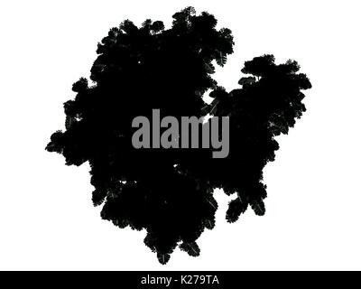 Art tree silhouette isolated on white background Stock Photo - Alamy