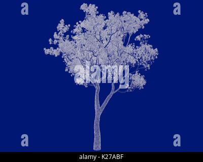 3d rendering of an outlined tree blueprint isolated on blue background ...