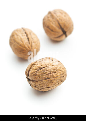 Dried walnuts in nutshell isolated on white background. Three walnuts. Stock Photo