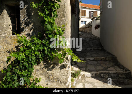 Vineyard and alley in the old town of Primosten, Croatia Stock Photo
