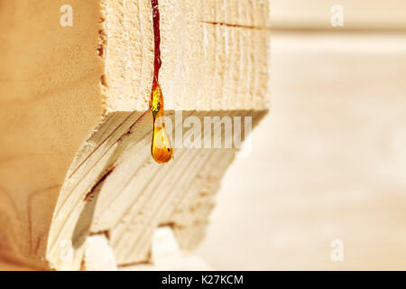 Close up picture of a resin drop on a wood construction, shallow depth of field. Stock Photo