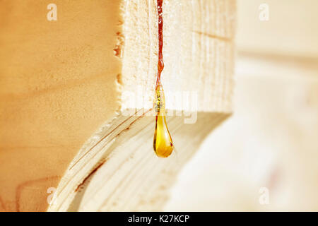 Close up picture of a resin drop on a wood construction, shallow depth of field. Stock Photo