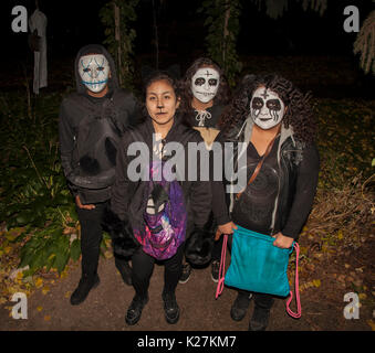 Teen tricks and treaters with skeleton masks are out for Halloween. St Paul Minnesota MN USA Stock Photo
