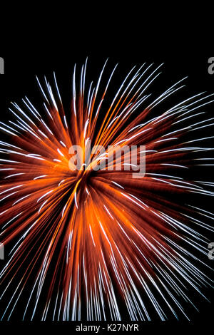 An aerial firework explodes with a shower of bright streaks created by gunpowder in a pyrotechnic device that was shot into a dark sky that is the background for this aesthetic display. Stock Photo