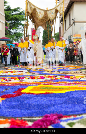 Europe, Umbria, italy, Perugia district, Spello. Artistic sacred figures realized with flowers on the occasion of the Corpus Christi Stock Photo