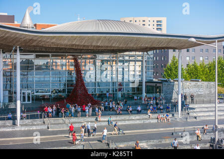 CARDIFF/UK - AUGUST 27 : Poppies Pouring out of the Welsh Assembly Building in Cardiff on August 27, 2017, Unidentified people Stock Photo