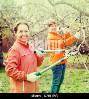 Two women pruning apple tree in the orchard Stock Photo