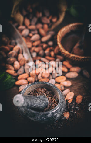 Cocoa concept with stone mortar and pestle with raw, peeled, and crushed Theobroma cacao cocoa beans Stock Photo