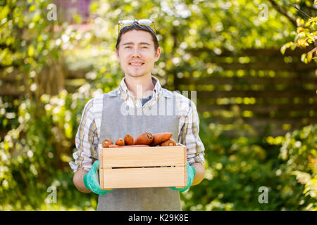 Brunette in apron holding carrots Stock Photo