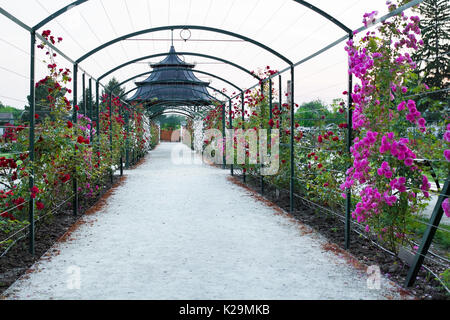 Esterhazy castle's rose garden with pavilion, Fertod Stock Photo