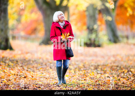 Senior woman is enjoying an independent walk through the autumn woods. She is collecting leaves and enjoying the views. Stock Photo