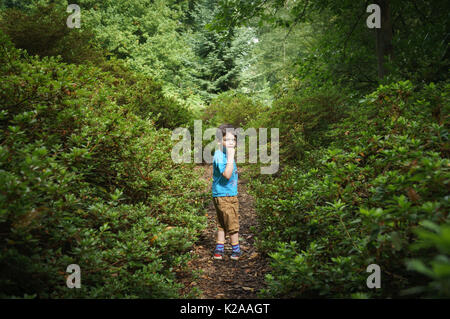 Little boy lost in the woods Stock Photo