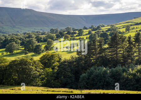 British countryside. Trees, fields and hills on a Summer evening in The Vale of Edale, Derbyshire, Peak District National Park, England, UK Stock Photo