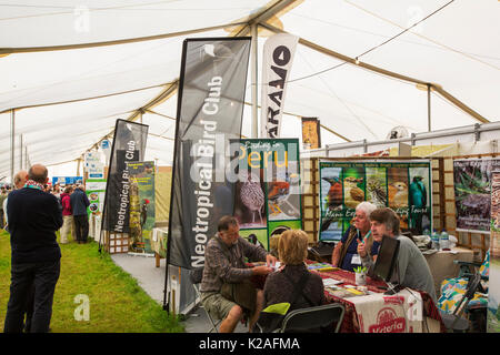 Bird Fair at Rutland water, the largest environmental festival in Europe, attracting over 20,000 visitors a year. Stock Photo